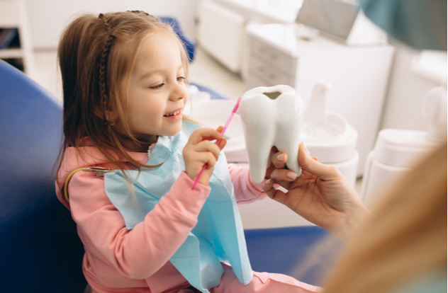 Little girl visiting her dentist