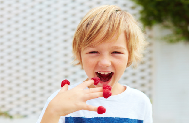 boy tasting ripe and fresh raspberries from his fingers